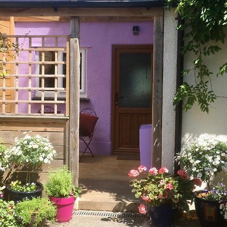 Cute Self-Contained Guest Room With Ensuite And Private Decked Porch In 글라스턴버리 외부 사진
