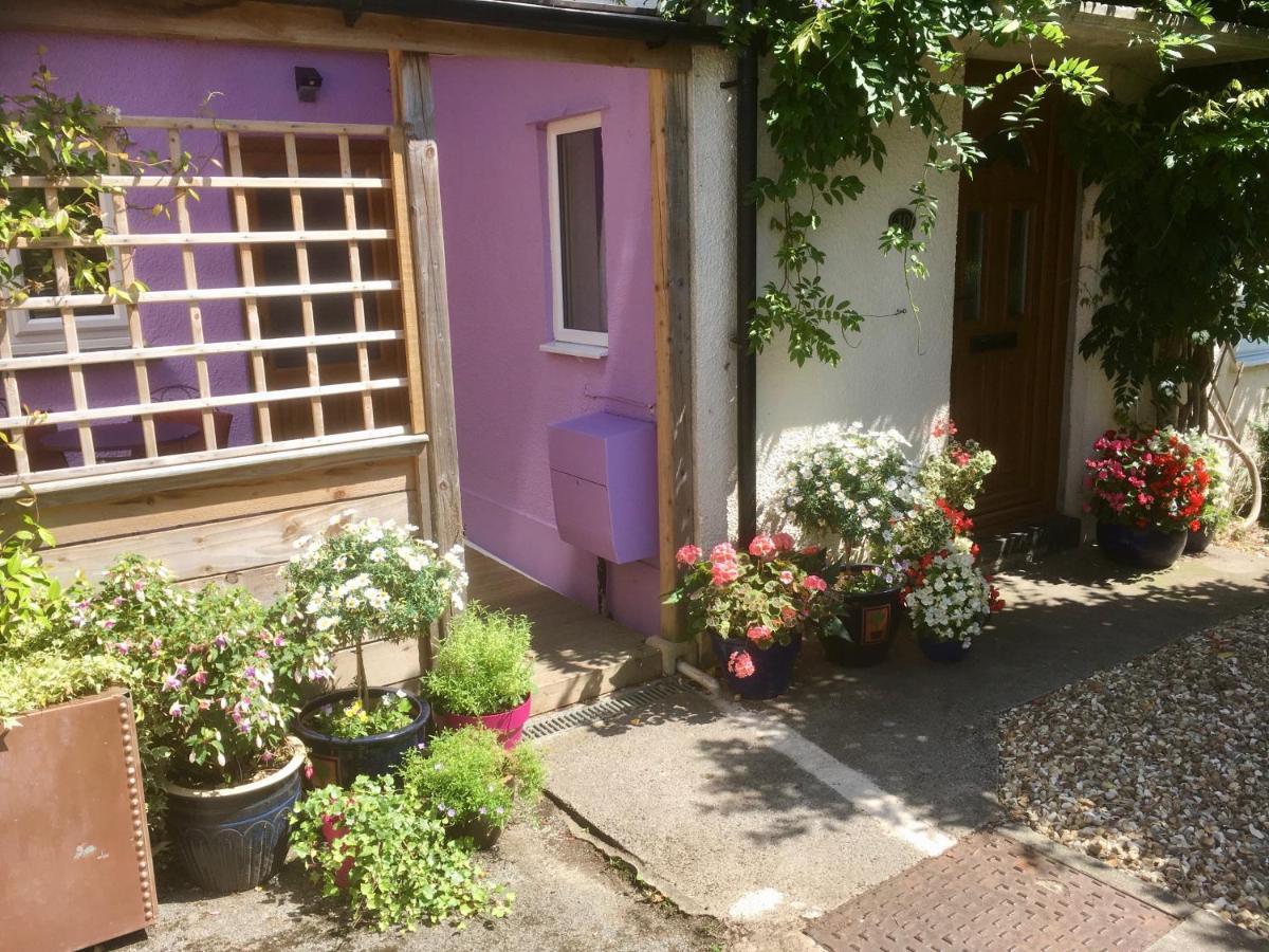 Cute Self-Contained Guest Room With Ensuite And Private Decked Porch In 글라스턴버리 외부 사진